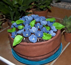 Tarta Maceta